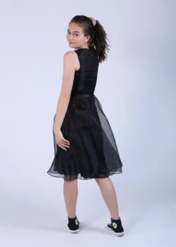 Rochie cu pliuri si bust petrecut din organza neagra