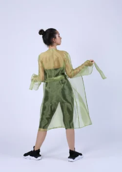 Rochie petrecuta usor evazata din organza verde transparenta